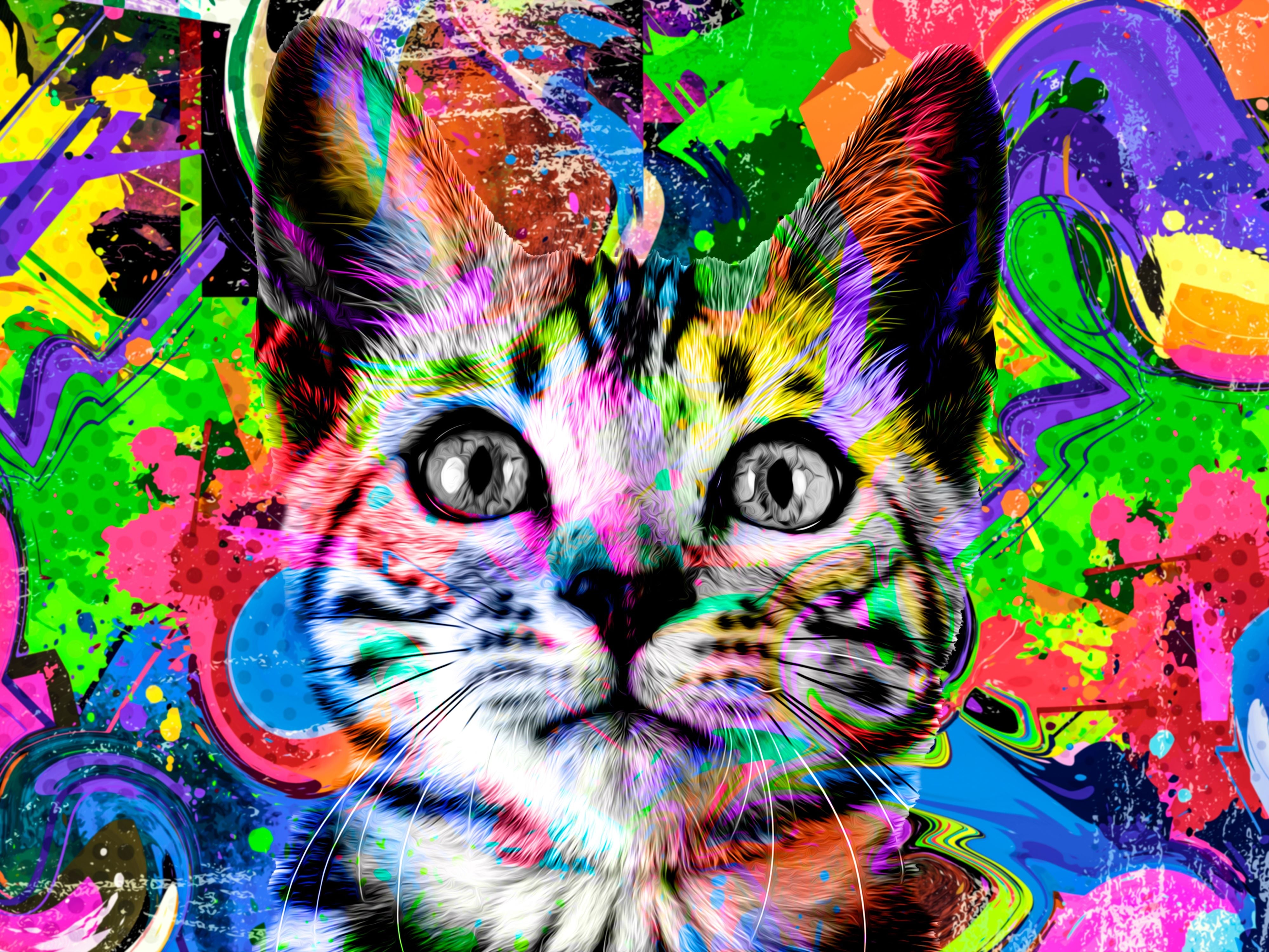 Chat Multicolore Art Abstrait