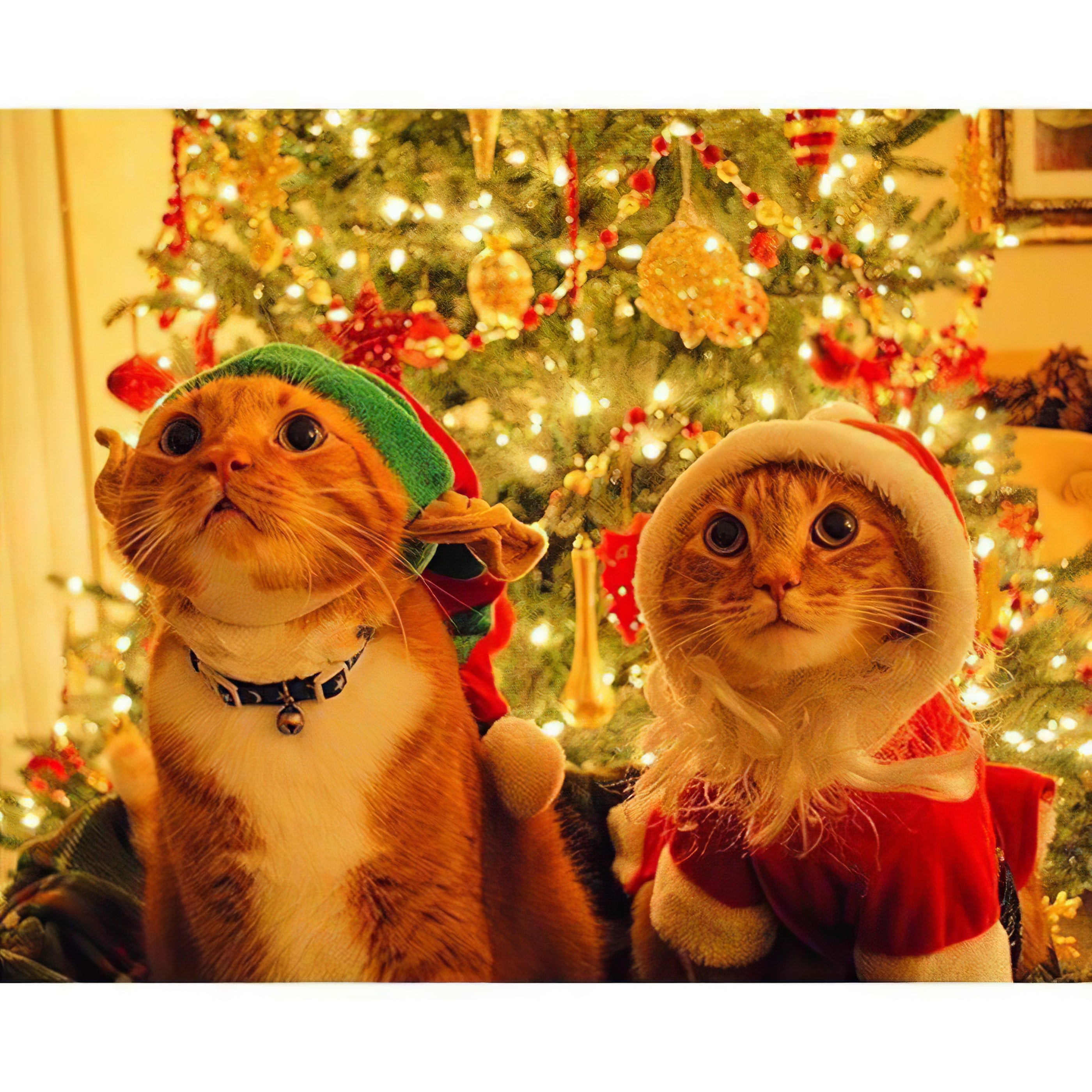 Ressentez la joie et la chaleur des vacances avec les animaux dans cette broderie diamant. Chat mignon de Noël - j'adore la broderie diamant