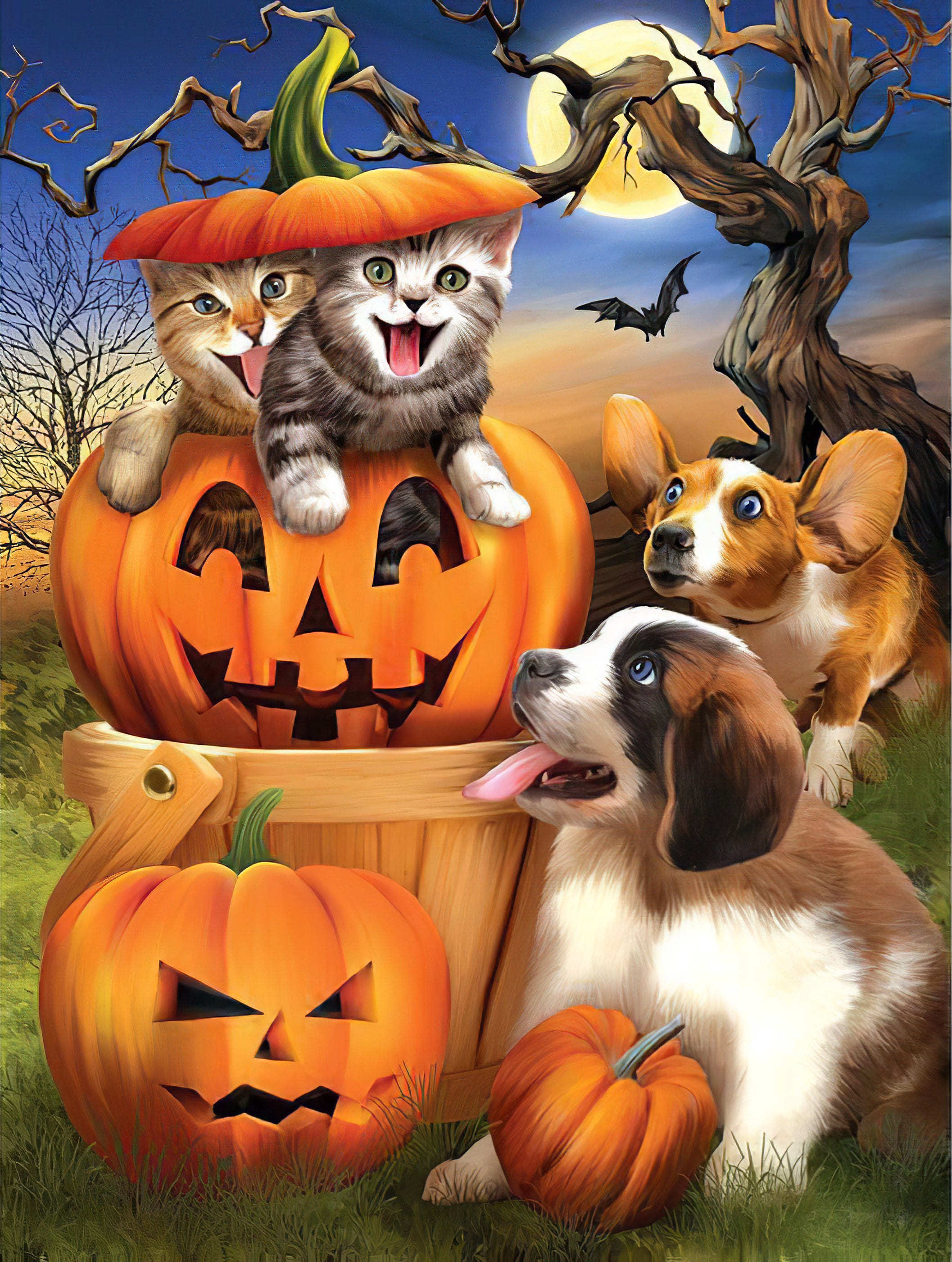 Chiens et chats Halloween