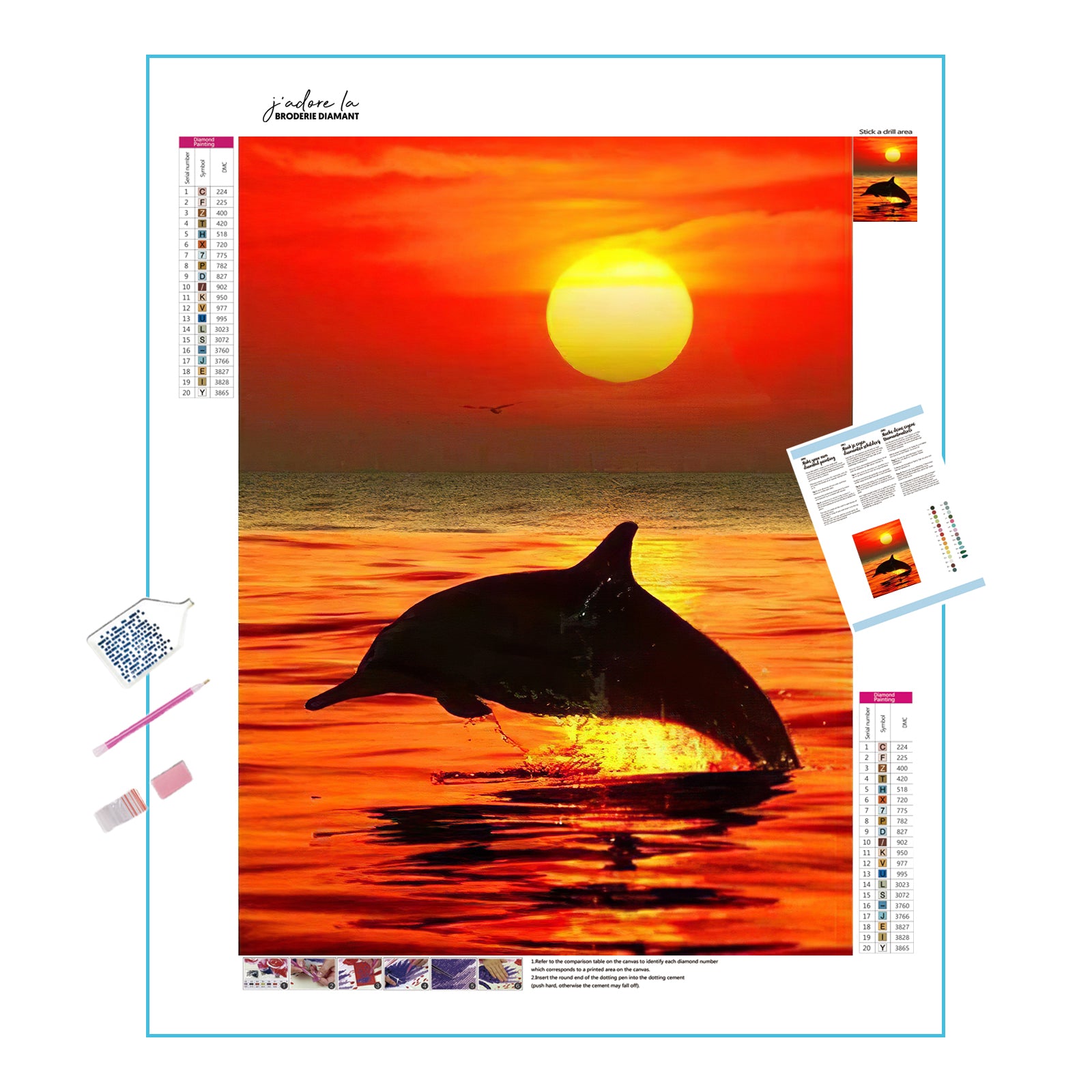 Delphine au coucher du soleil