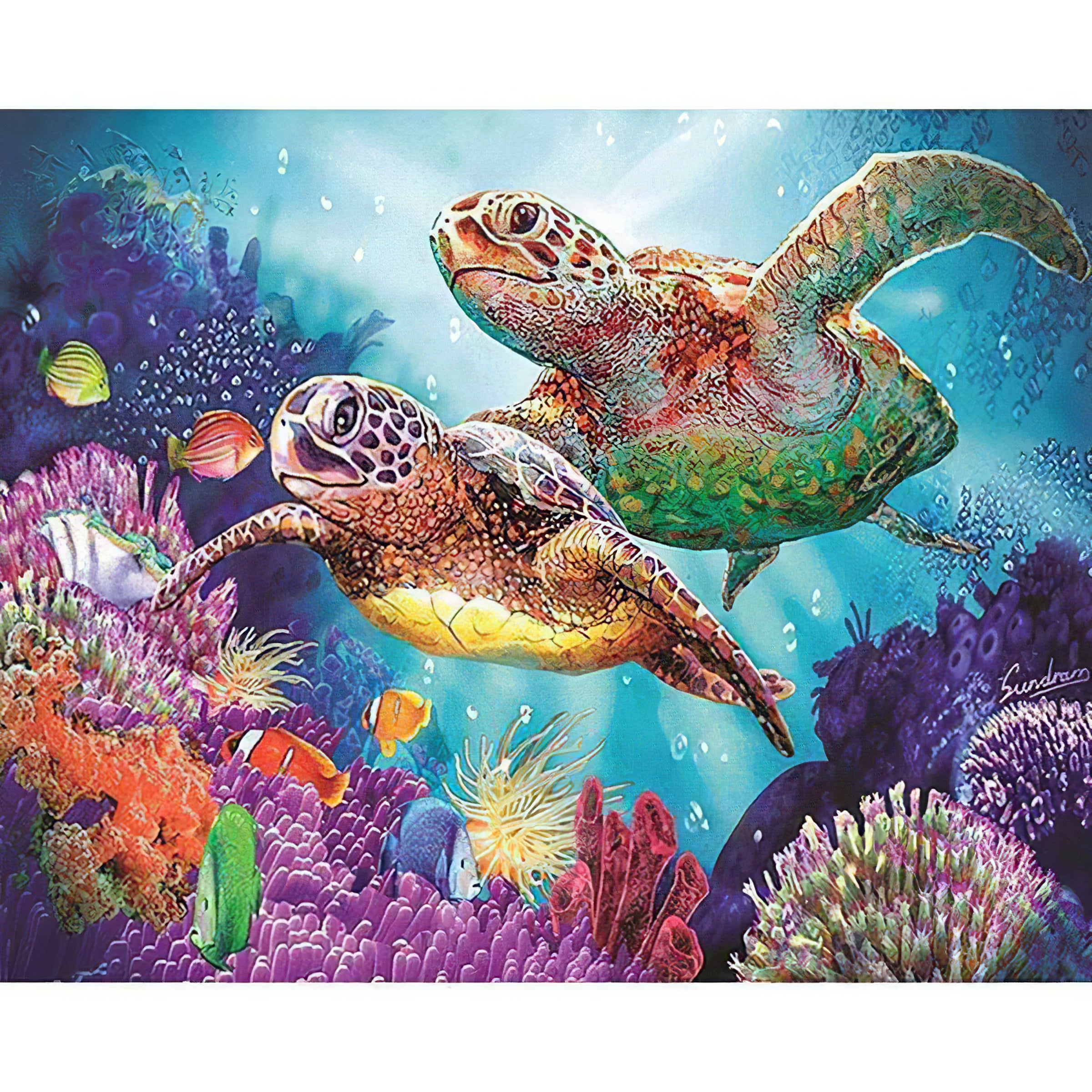 Deux tortues dans l'océan