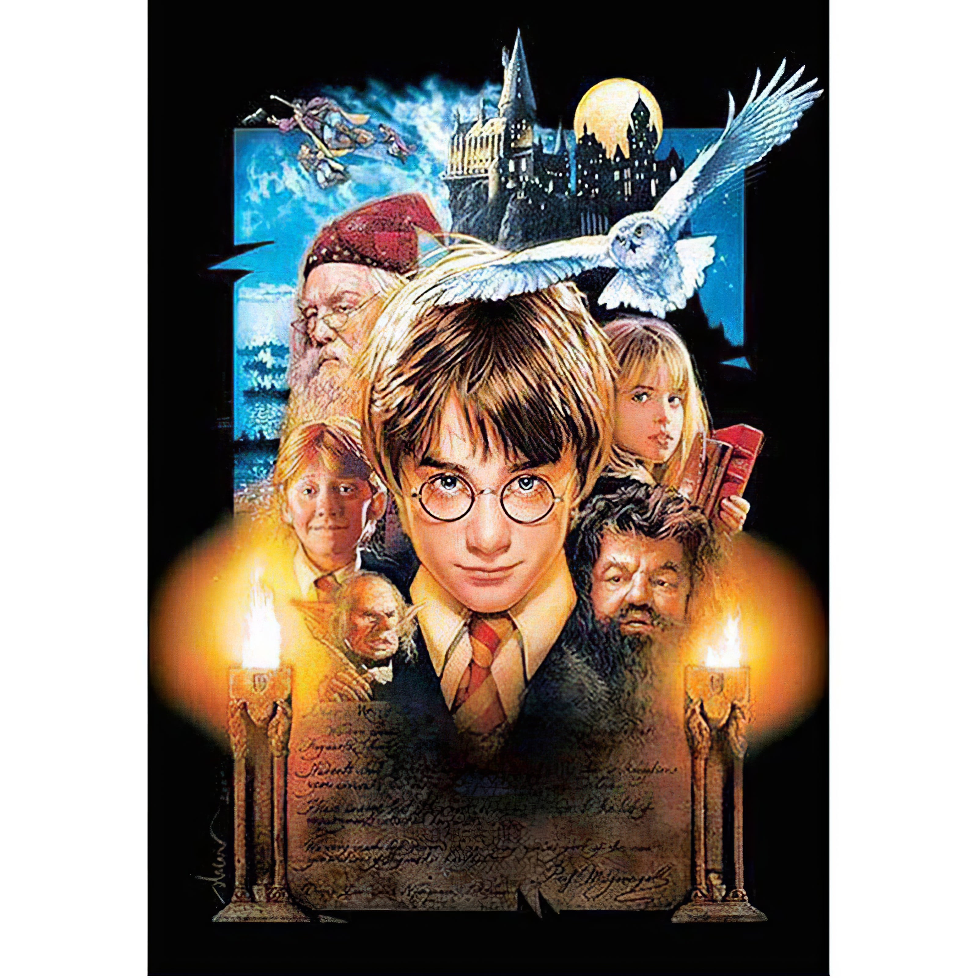 Revivez l’aventure magique avec Harry Potter dans cette broderie diamant. Harry Potter - j'adore la broderie diamant