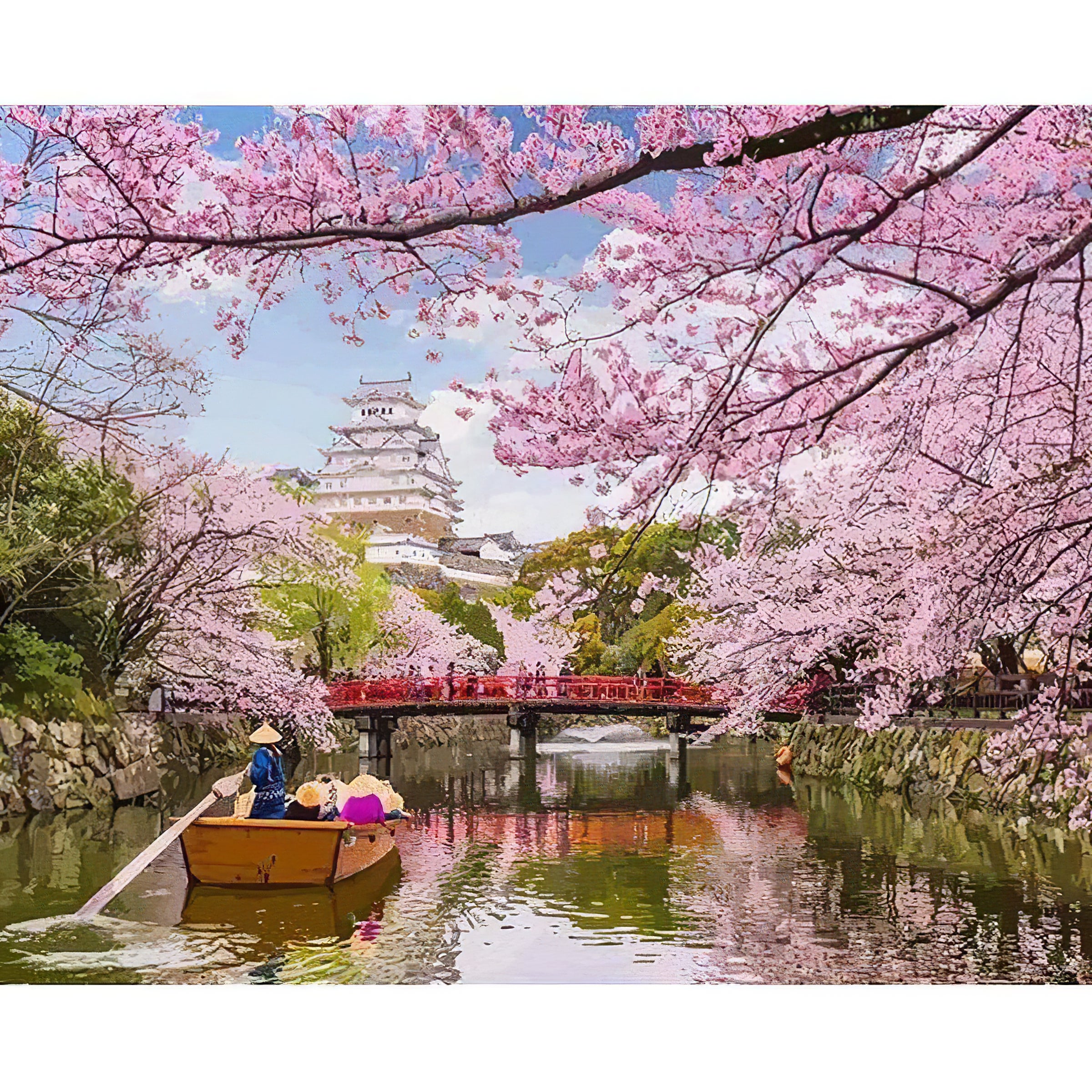 Fleur de cerisier japonais sur une rivière