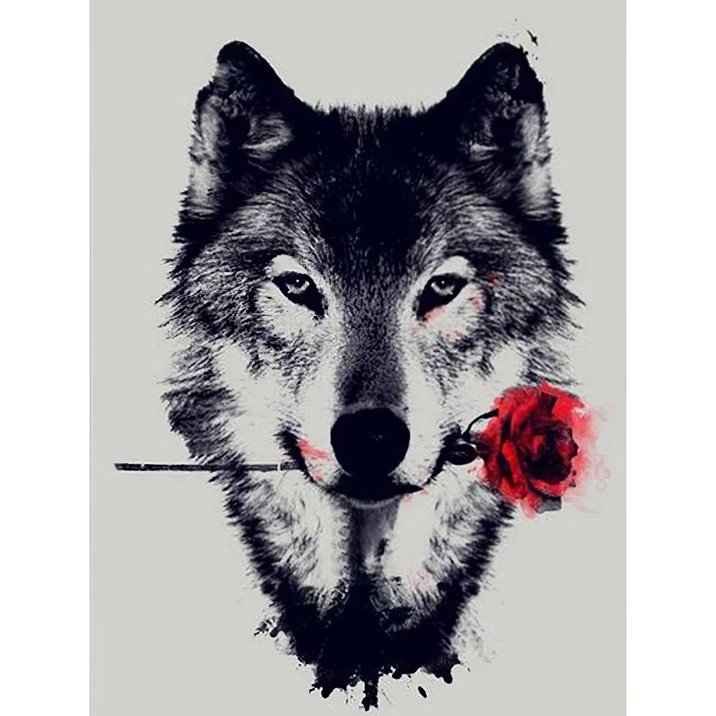 Loup avec fleur