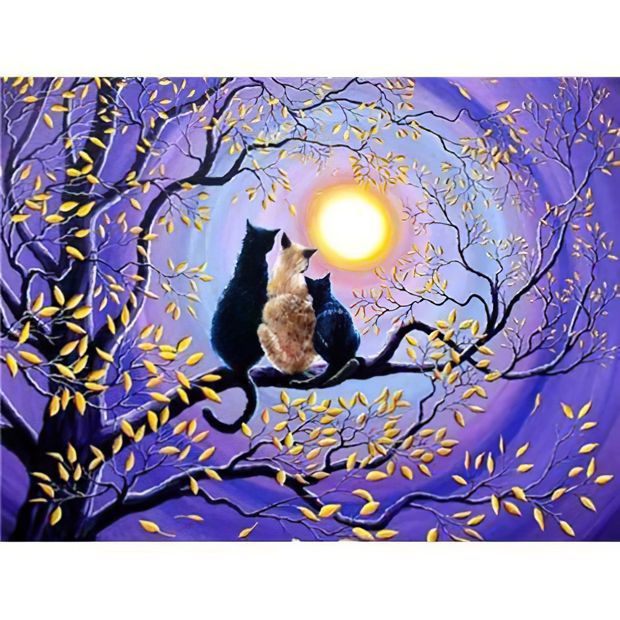Trois chat assis sur un arbre au clair de lune