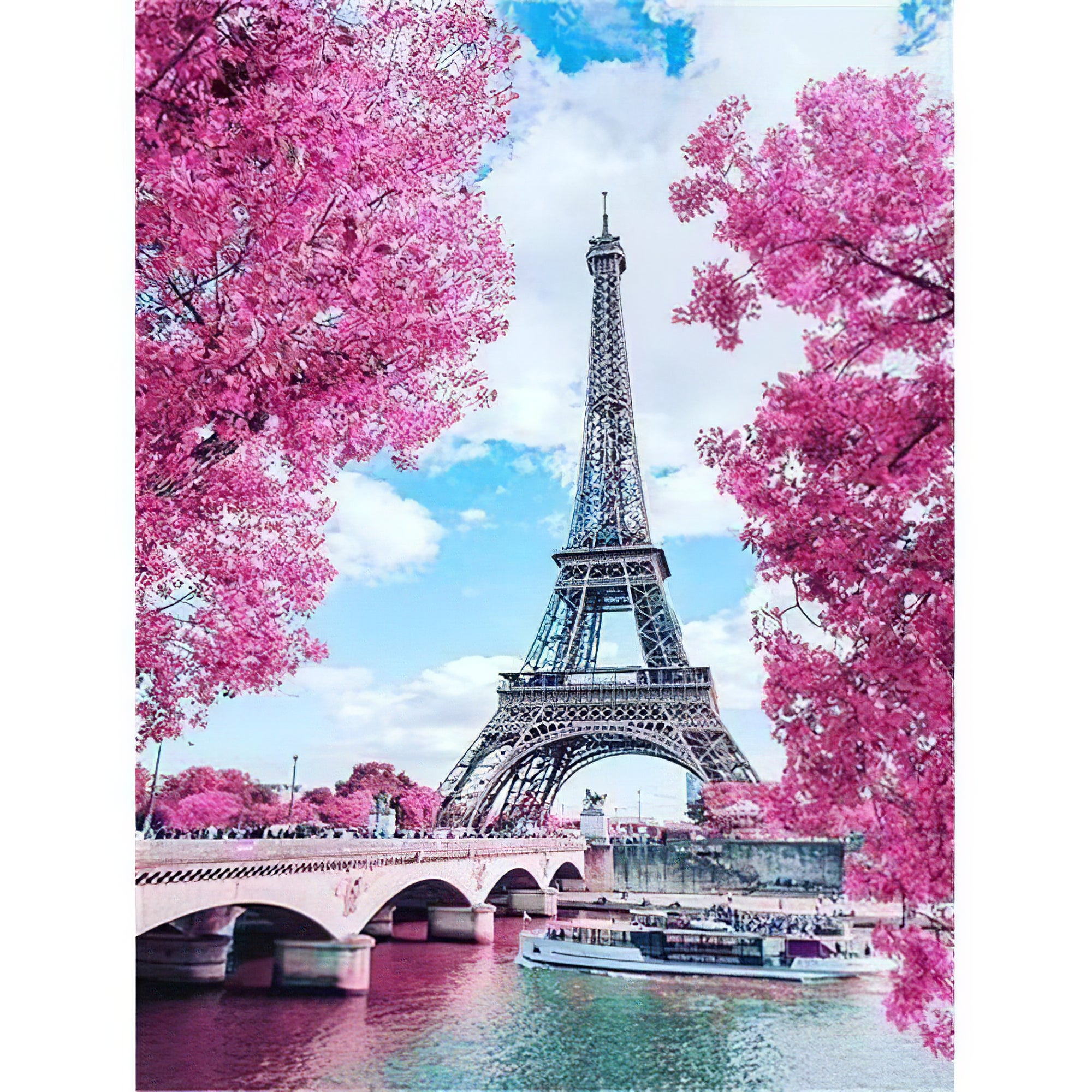 Tour Eiffel & fleurs roses