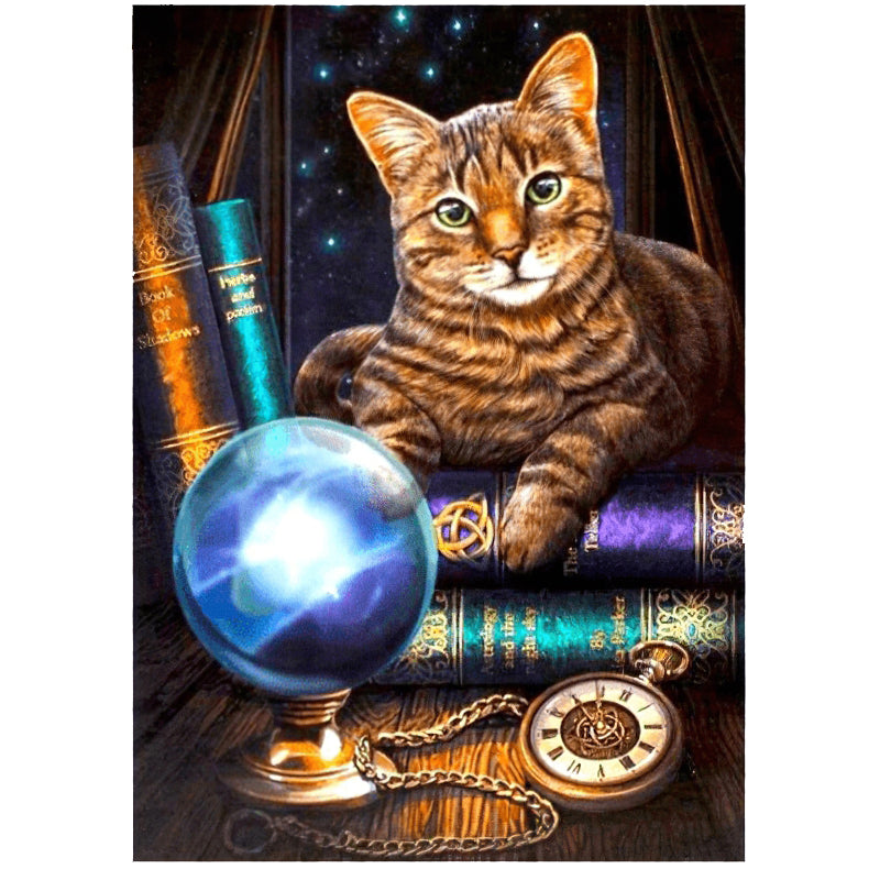 Animaux Chat Magic Ball Magicien.