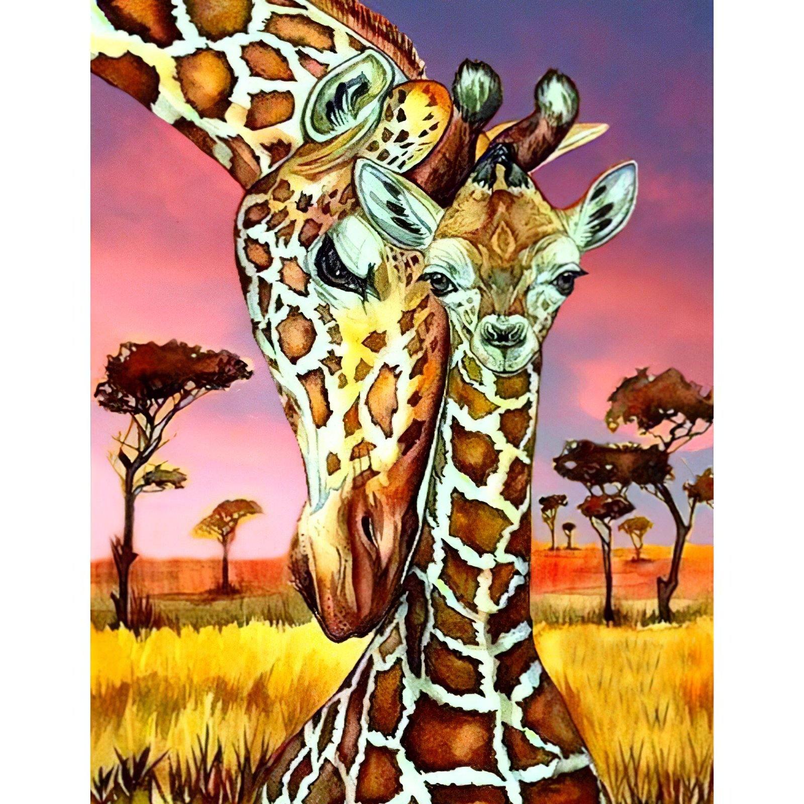 Affection Girafe.