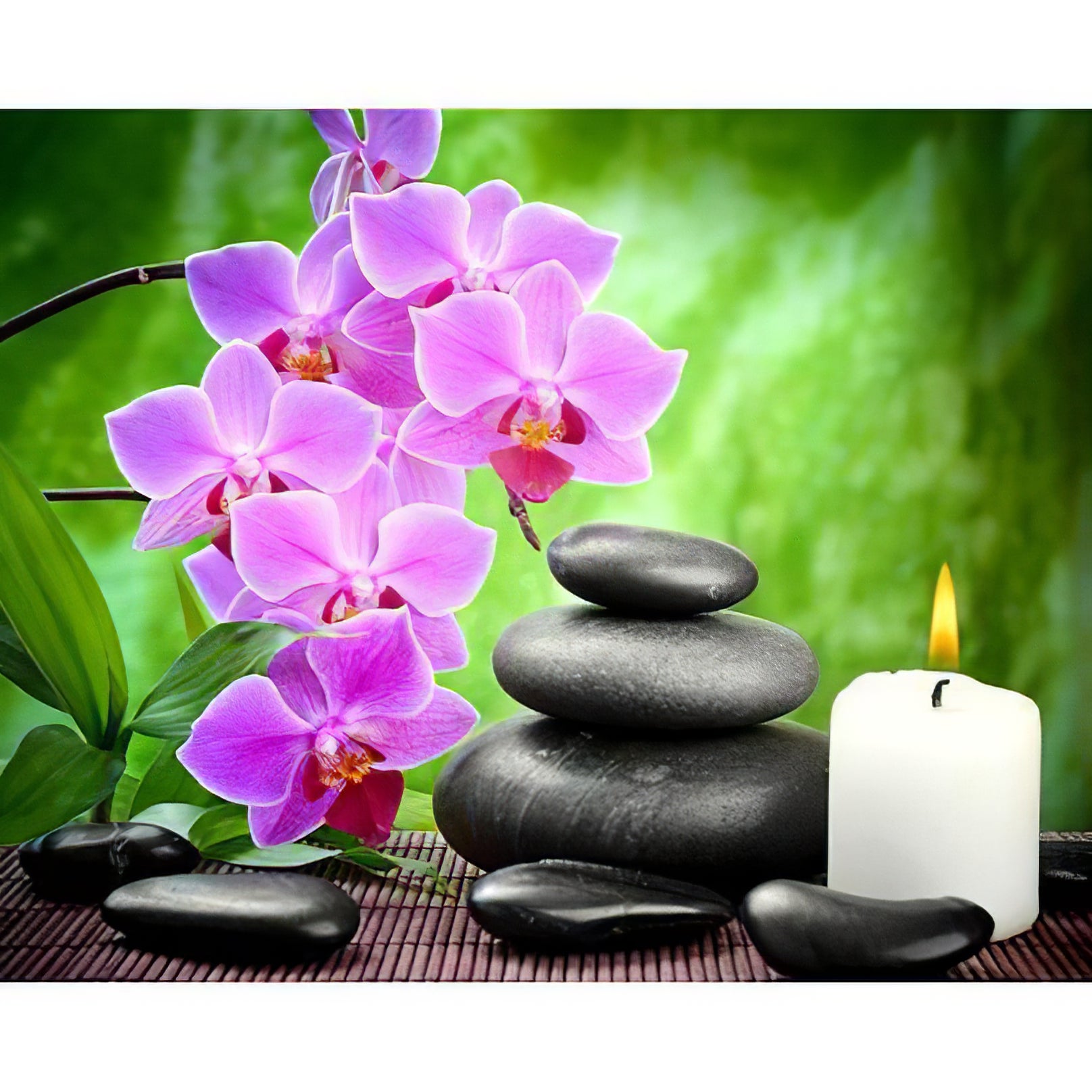 Fleurs Orchidée et Cailloux Zen