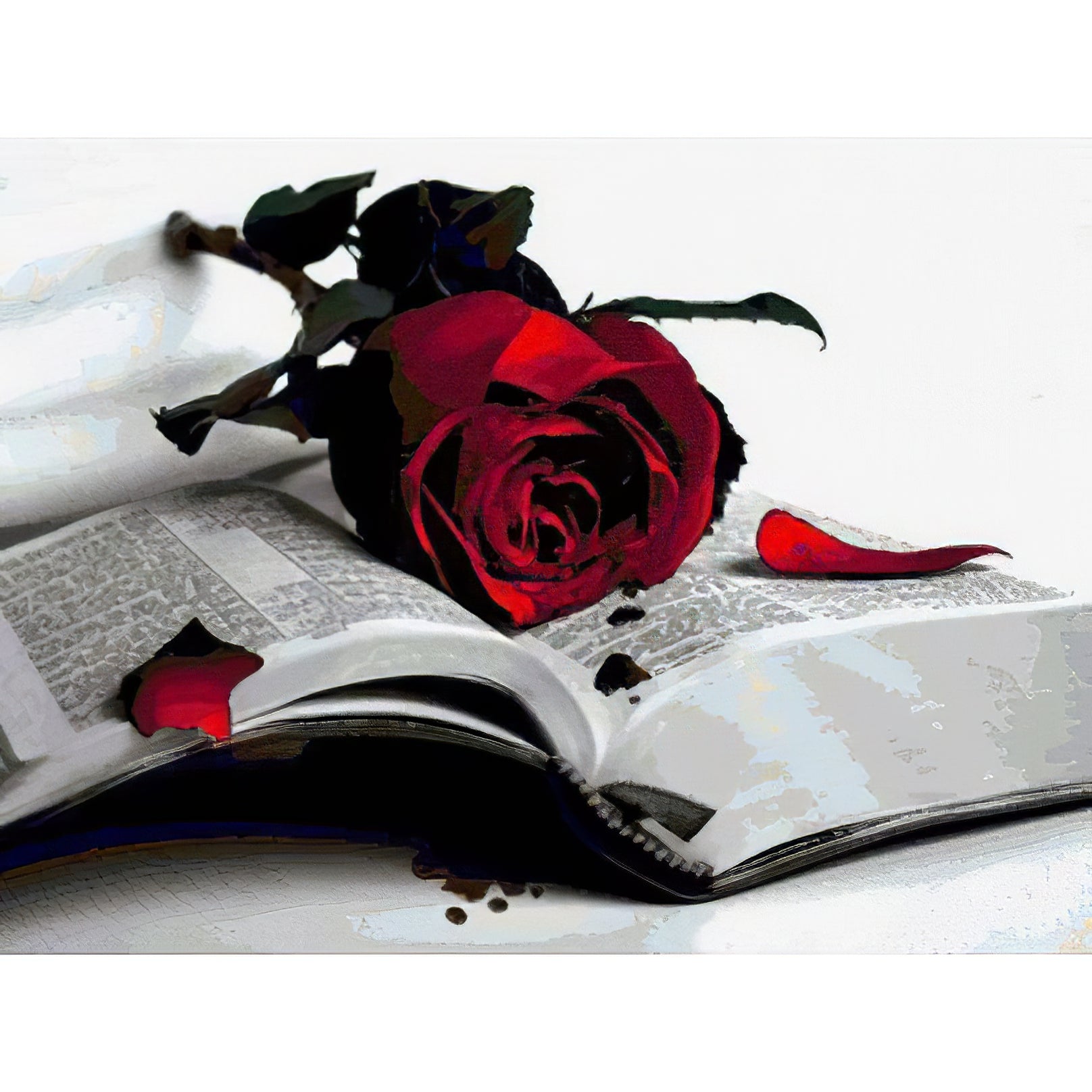 La Rose et le Livre
