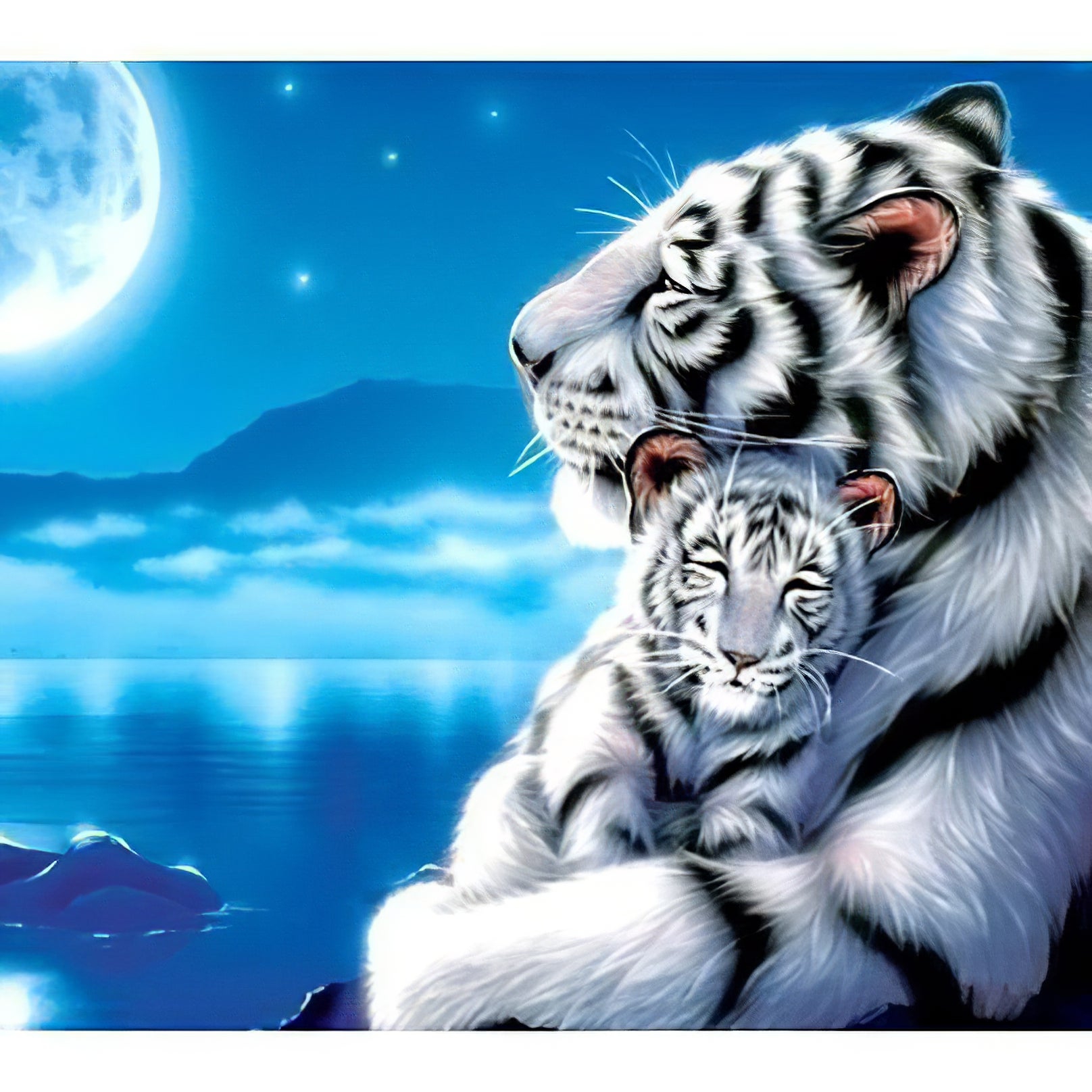 Bébé Tigre Blanc et sa Mère