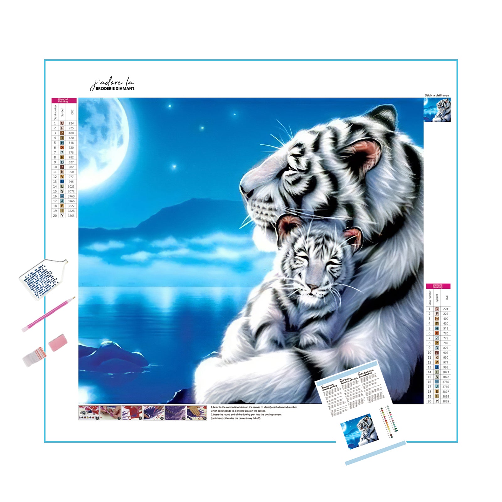 Bébé Tigre Blanc et sa Mère